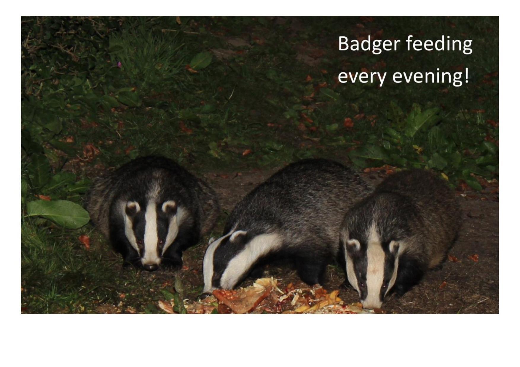 Badger Bar Bed & Breakfast Ambleside Exterior photo